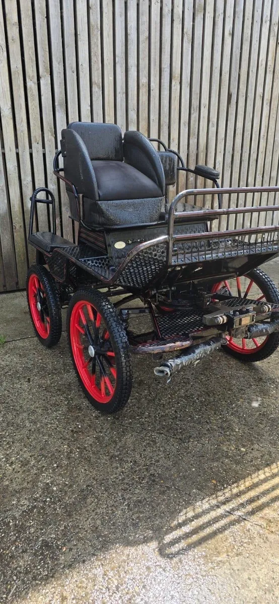 Carriages - Image 2