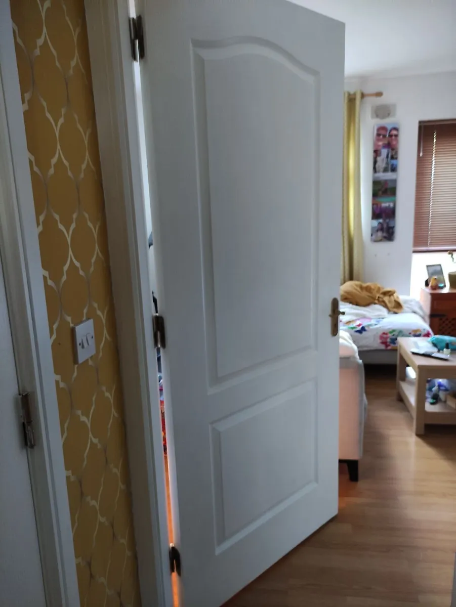 Internal doors - Image 1