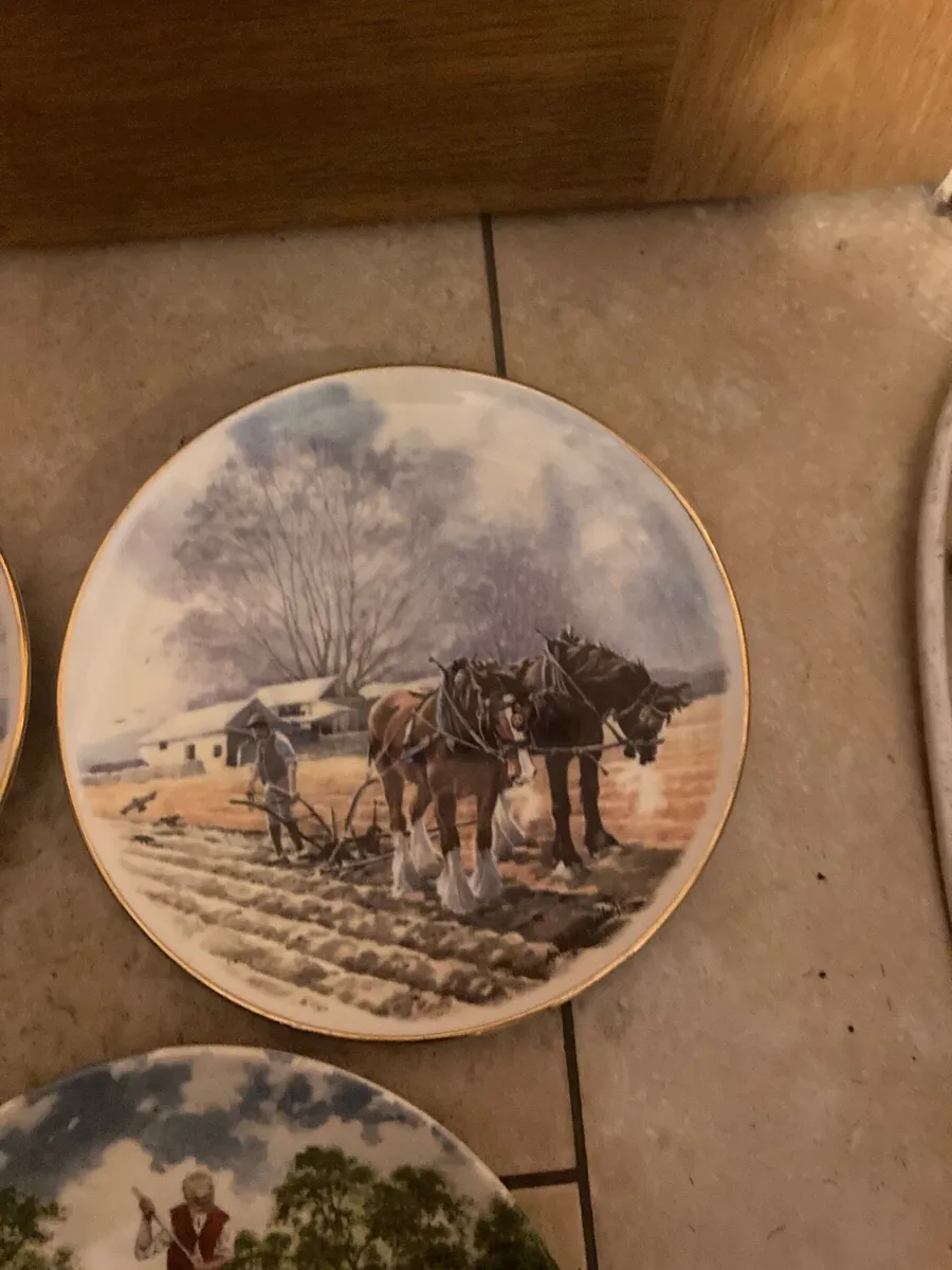 Horse themed fine bone china  plates free postage - Image 2
