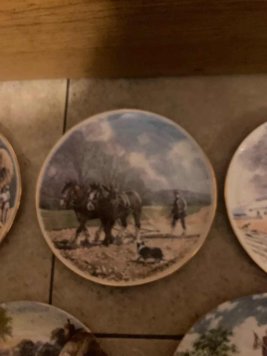 Horse themed fine bone china  plates free postage - Image 3