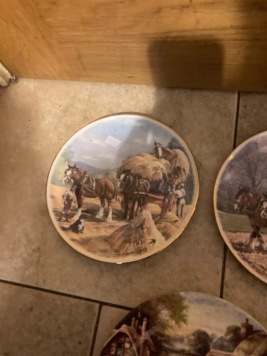 Horse themed fine bone china  plates free postage - Image 4