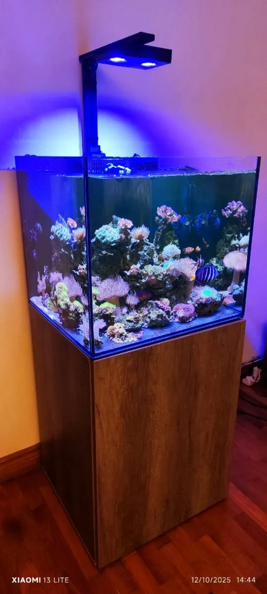 Aquarium Aquaone 180 - Image 1