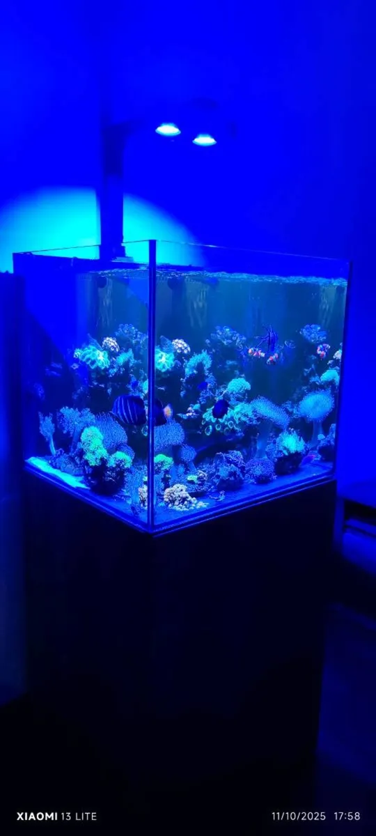 Aquarium Aquaone 180 - Image 3