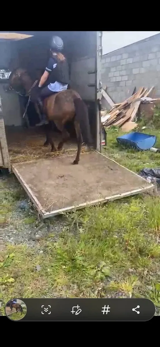Kids Pony - Image 2