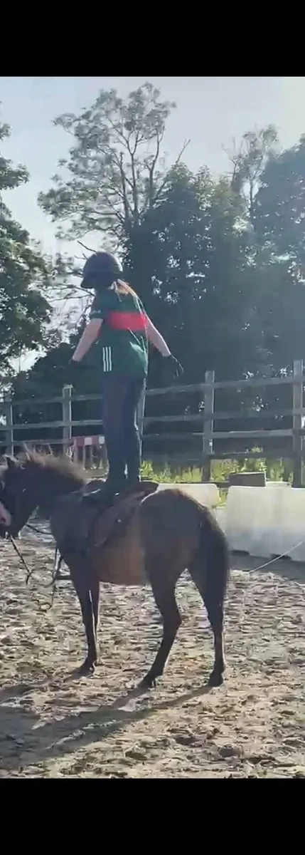 Kids Pony - Image 1