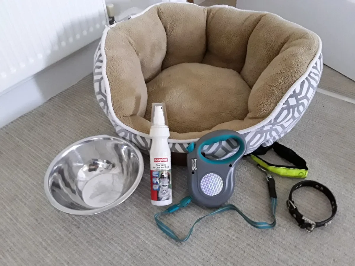 Pet accessories - Image 2