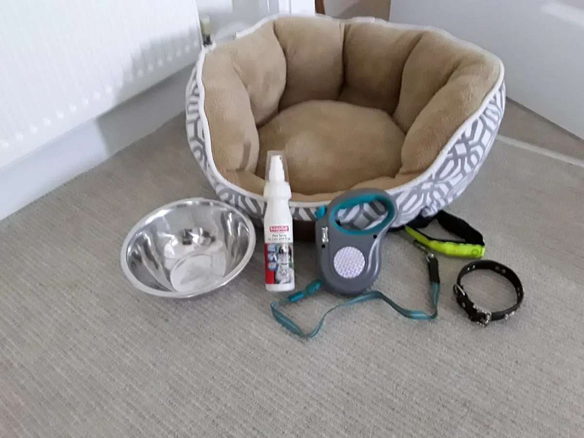 Pet accessories - Image 3