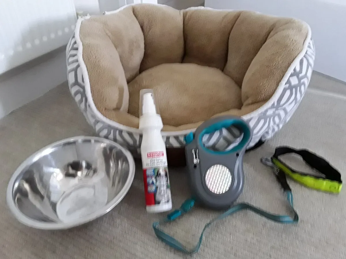 Pet accessories - Image 4