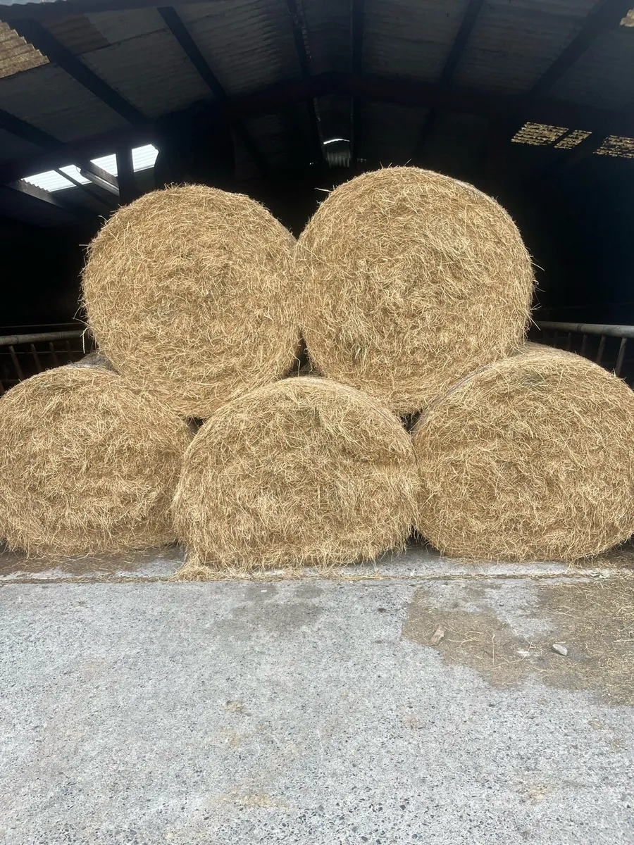 Hay bales - Image 1