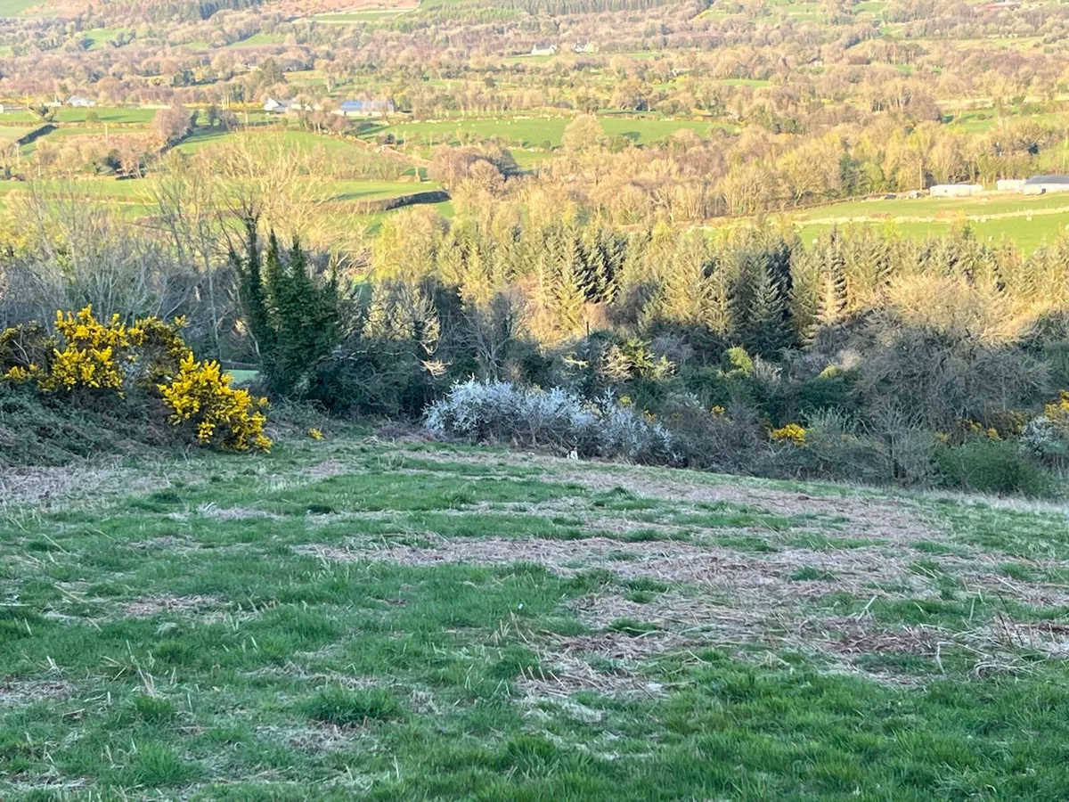 2 sites for sale co Carlow - Image 2