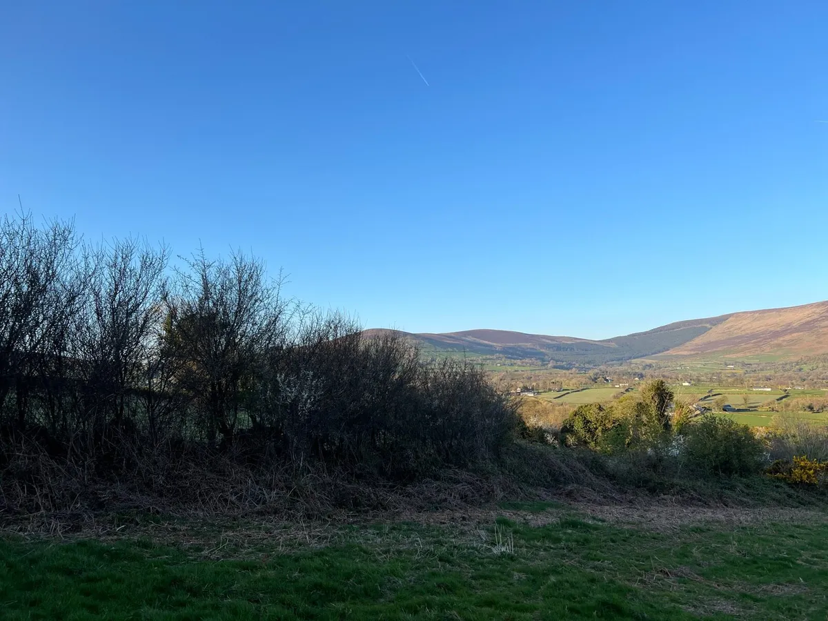 2 sites for sale co Carlow - Image 4
