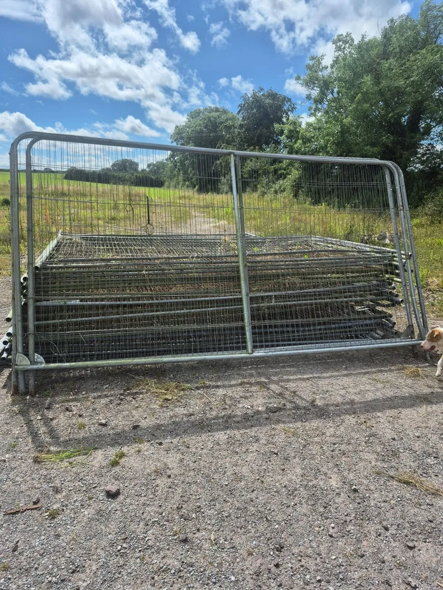 Harris panel Fencing