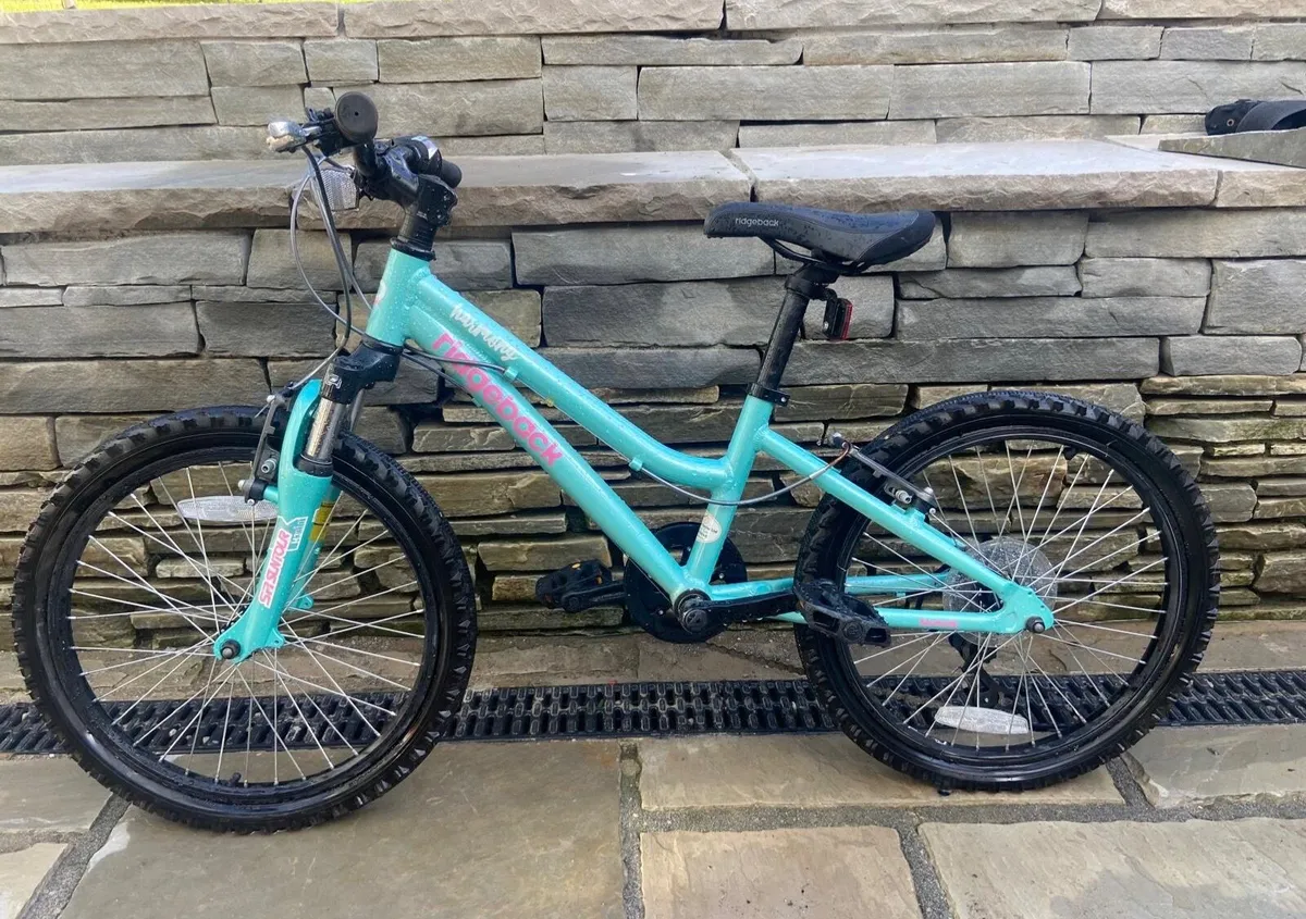 2 Children’s Bikes €75 or 1 Bike  €50 - Image 1