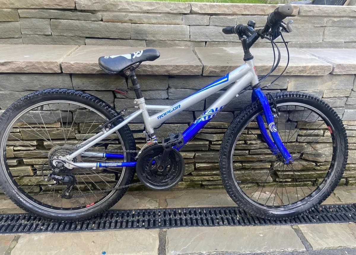 Children’s  Bike   ( big size for 10 year old + ) - Image 1