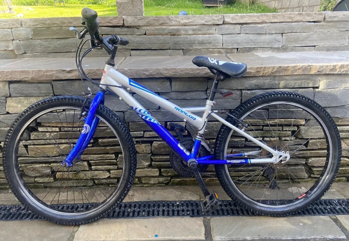 Children’s  Bike   ( big size for 10 year old + ) - Image 4