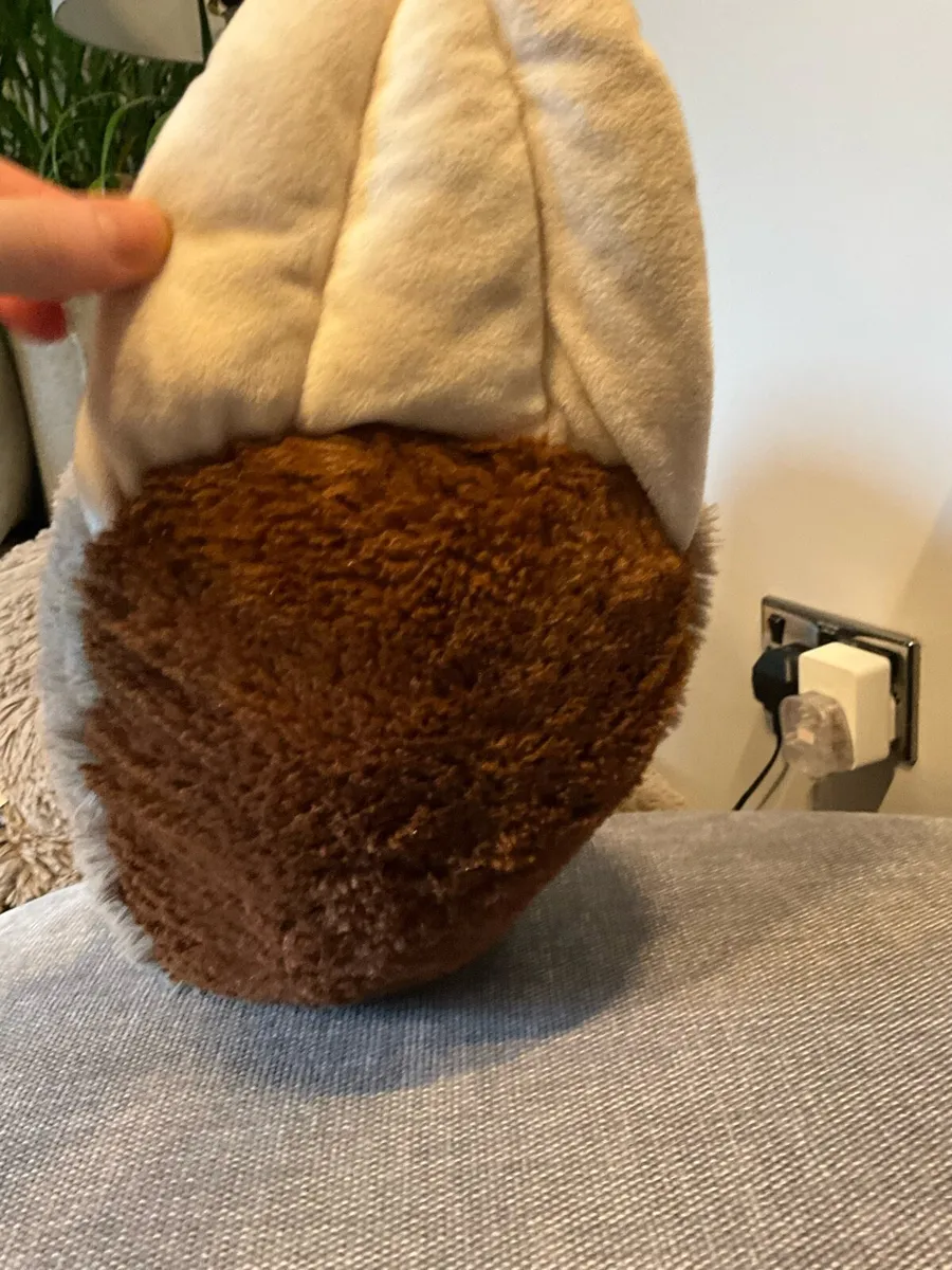 Giant Teddy -Sammy ! - Image 4