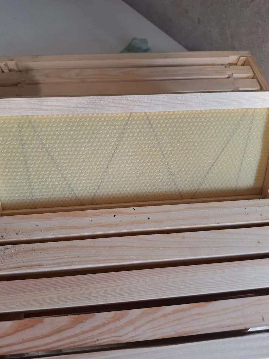 Beehive - Image 2