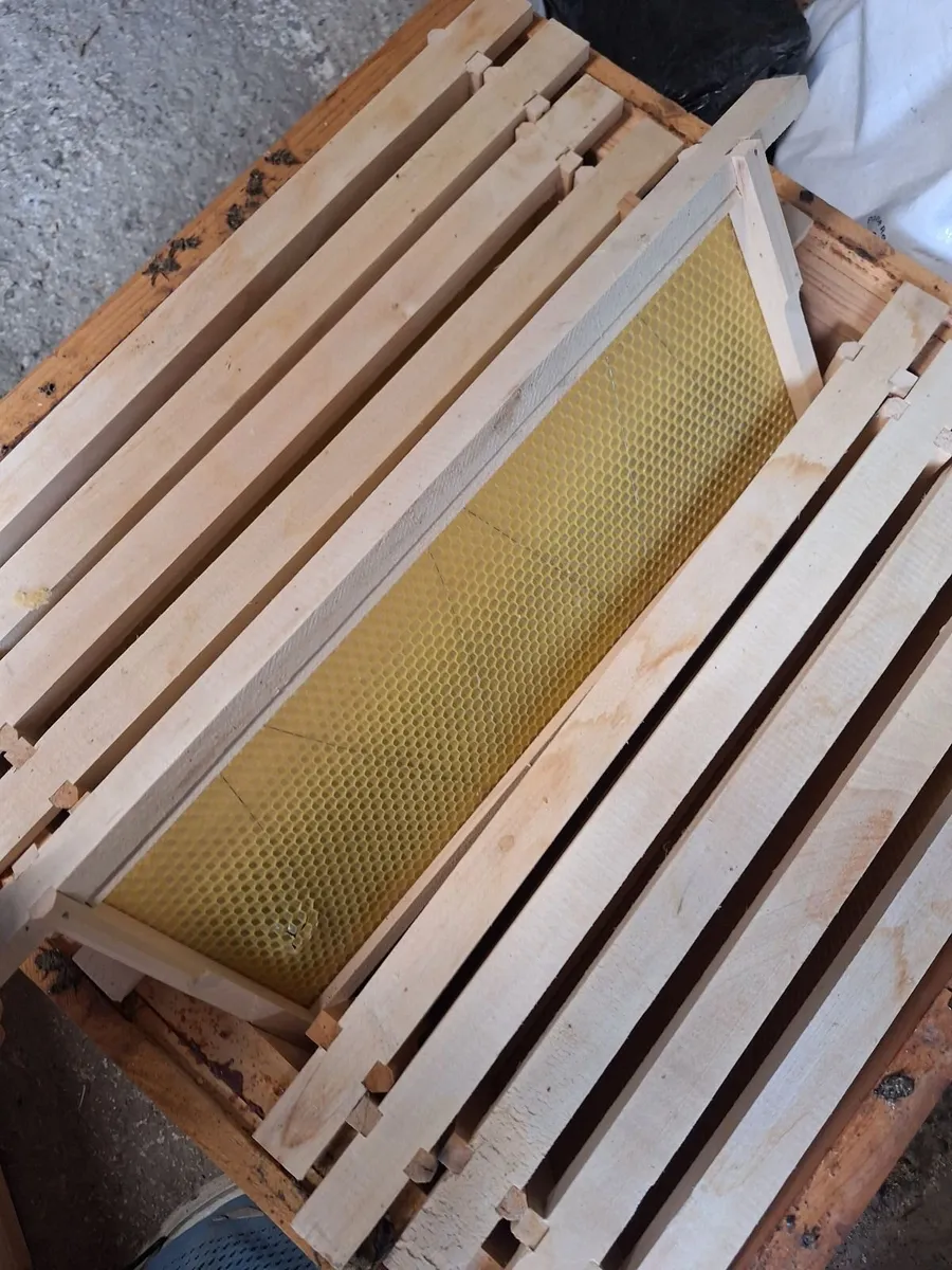 Beehive - Image 3