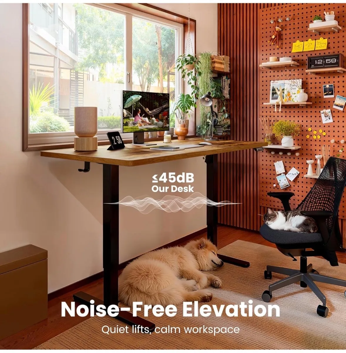 Electric Standing Desk Height Adjustable 120 x 60c - Image 4