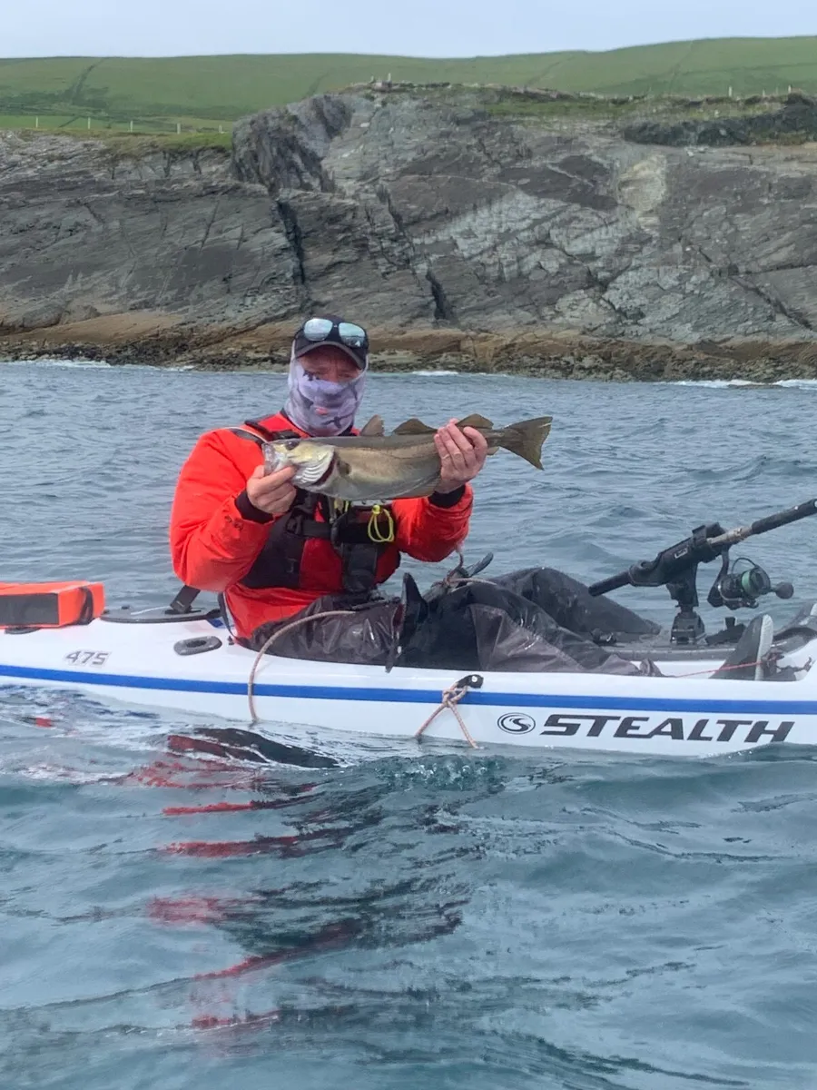 Profisha  stealth Kayaks - Image 4
