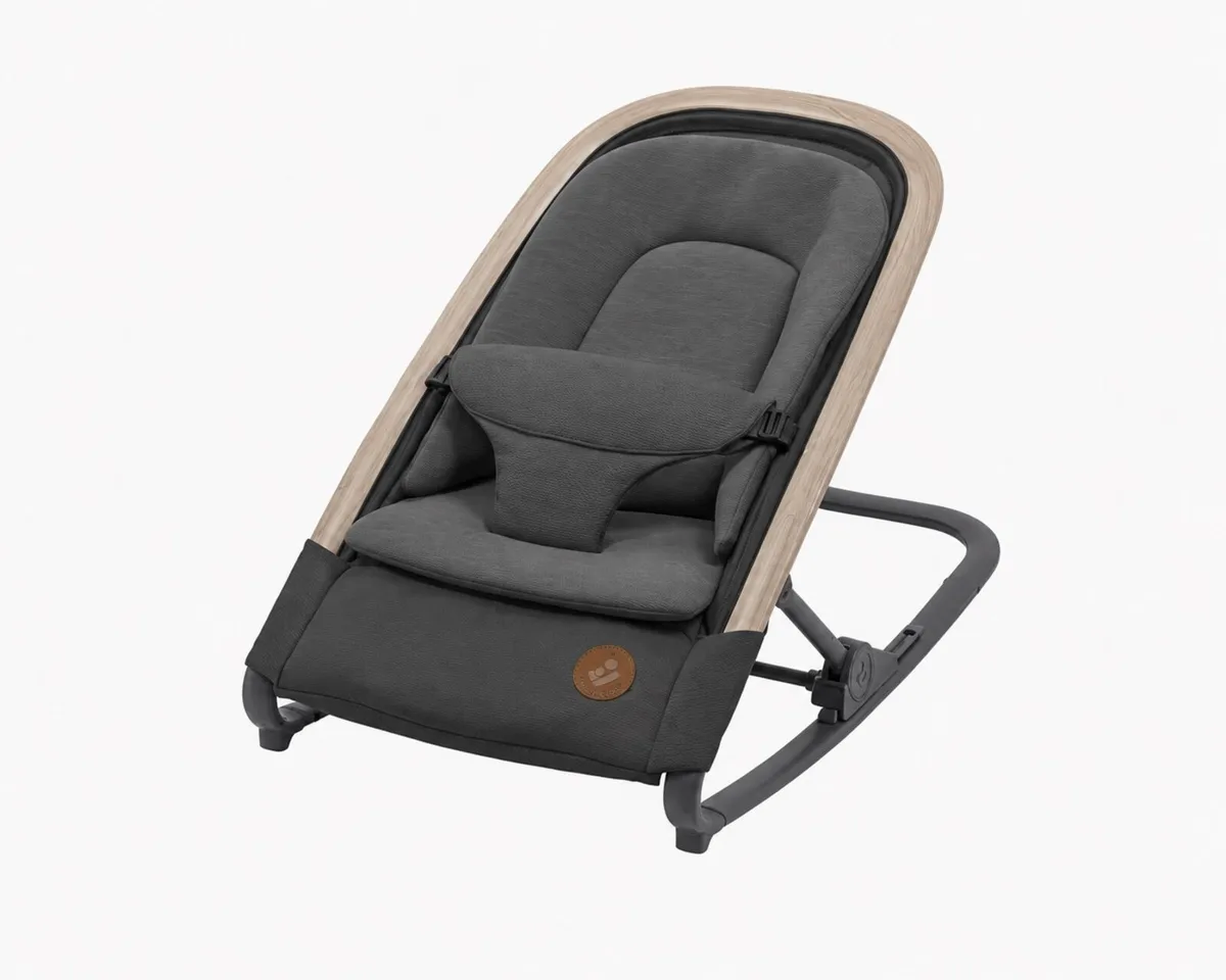 Baby rocker - Image 1