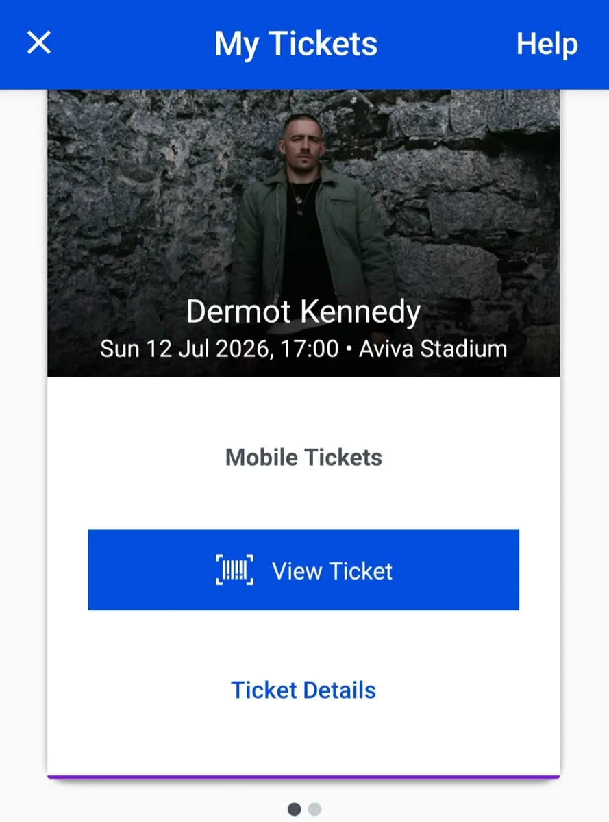 Dermot Kennedy 2 Tickets Sunday 12th July
