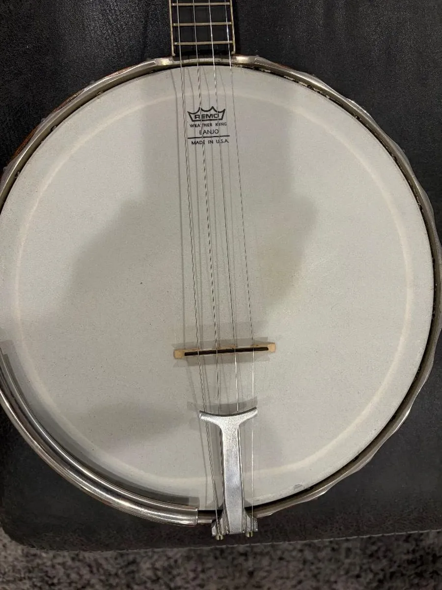 Van EPS Tenor Banjo - Image 2