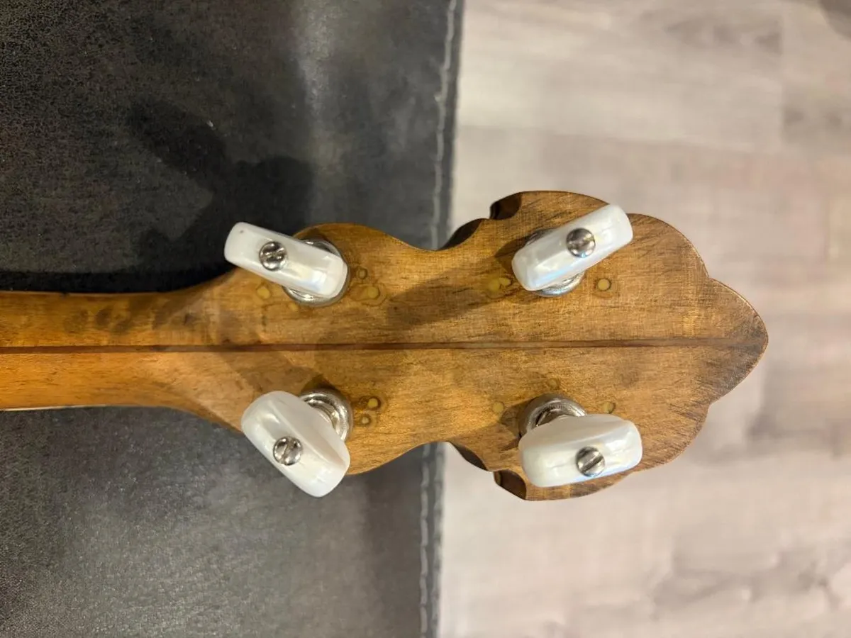 Van EPS Tenor Banjo - Image 4