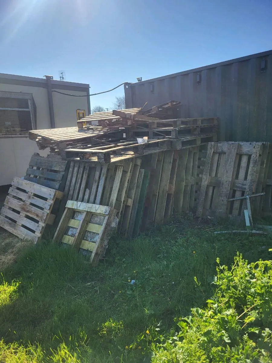 Palletts free to take away - Image 2