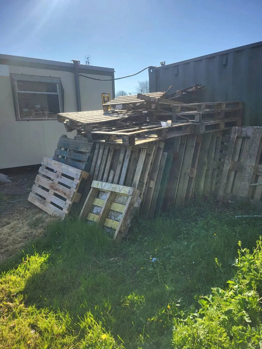 Palletts free to take away - Image 4