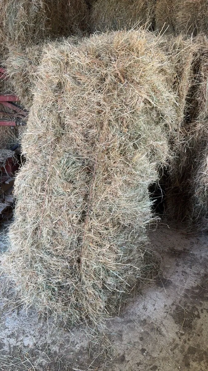 Round 4x4 & small square hay - Image 2
