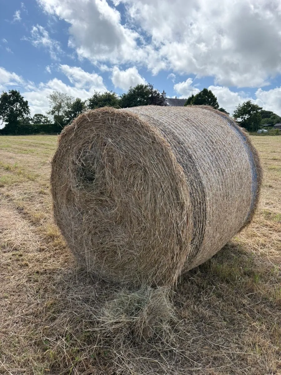 Round 4x4 & small square hay - Image 3
