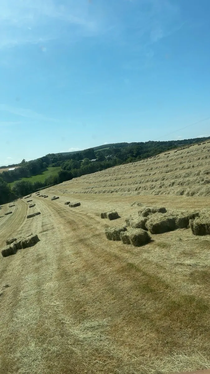 Round 4x4 & small square hay - Image 1