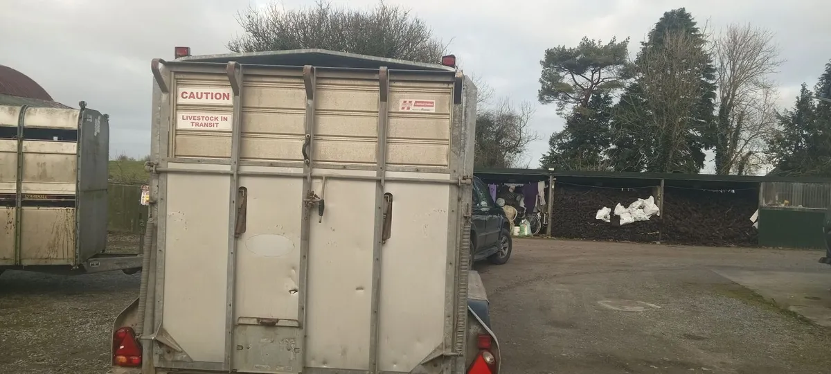 Hudson 14foot tri axle trailor with decks - Image 2