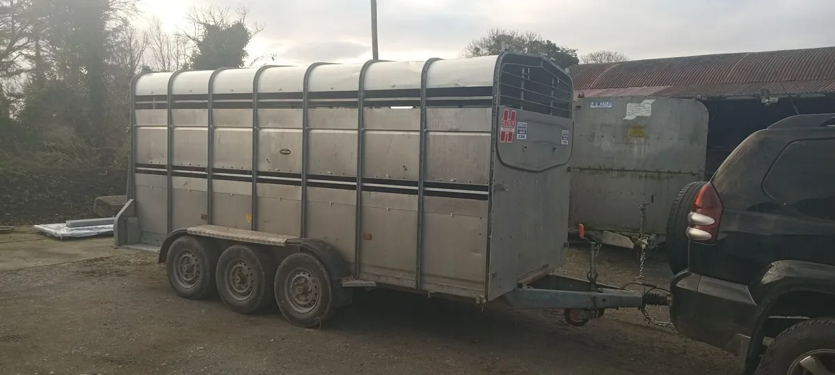Hudson 14foot tri axle trailor with decks - Image 3