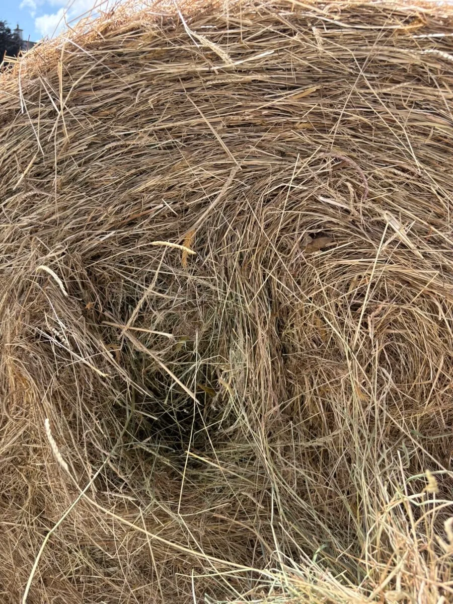 Round 4x4 & small square hay - Image 4