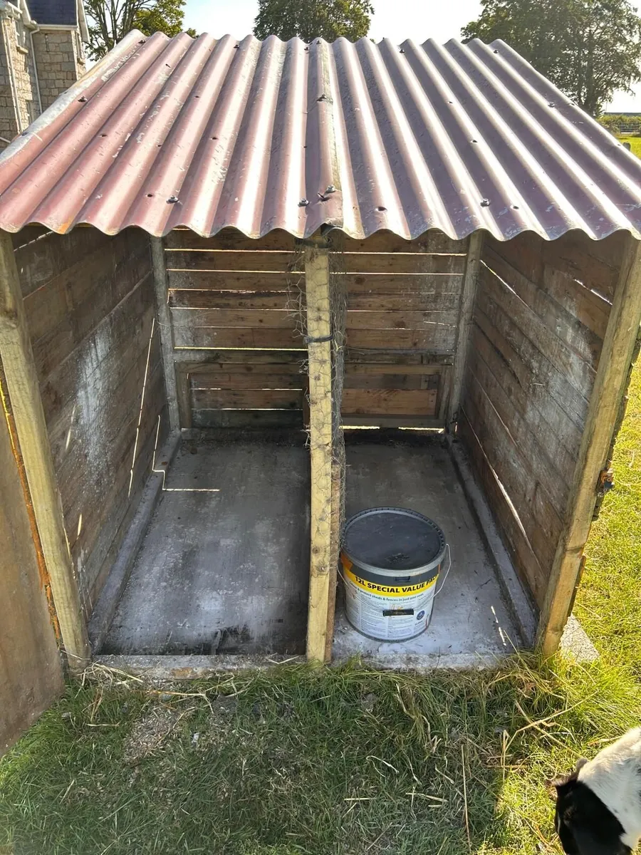 Chicken Coop - Image 4