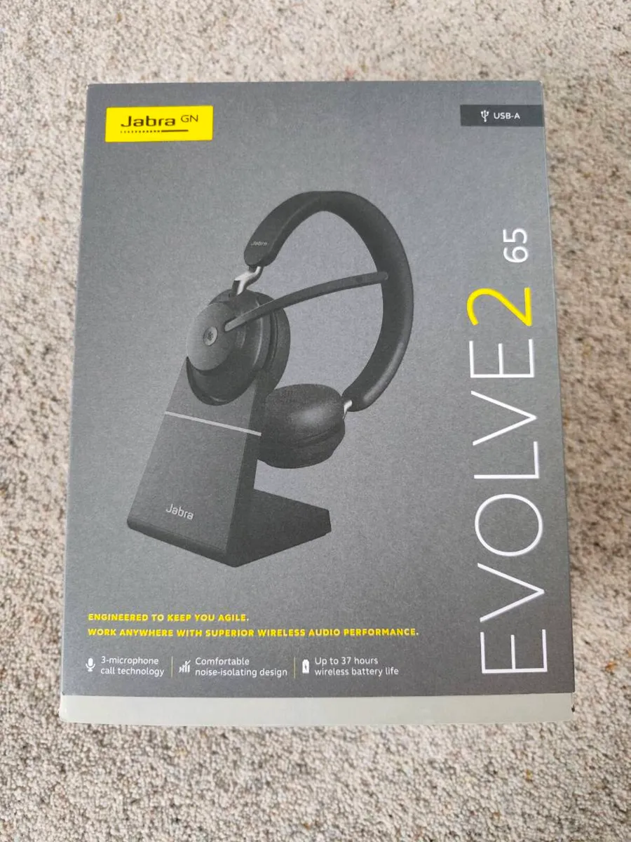 Headset - Image 1