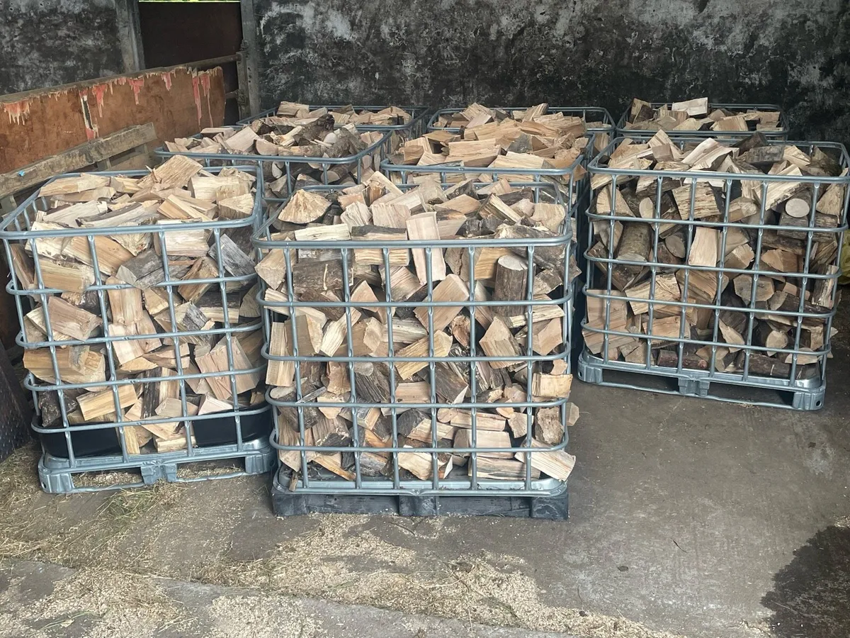 Ash timber firewood - Image 2