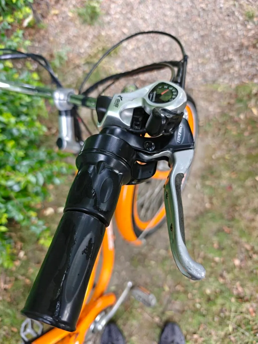 Dutch style Electric bike - Image 3