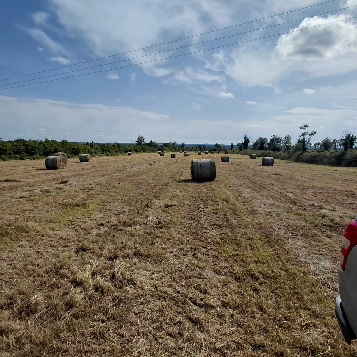 Organic Round Bales of Hay - Image 4