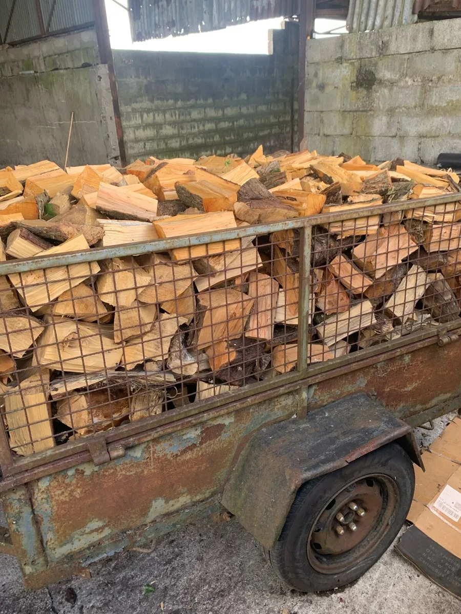 Firewood - Image 3