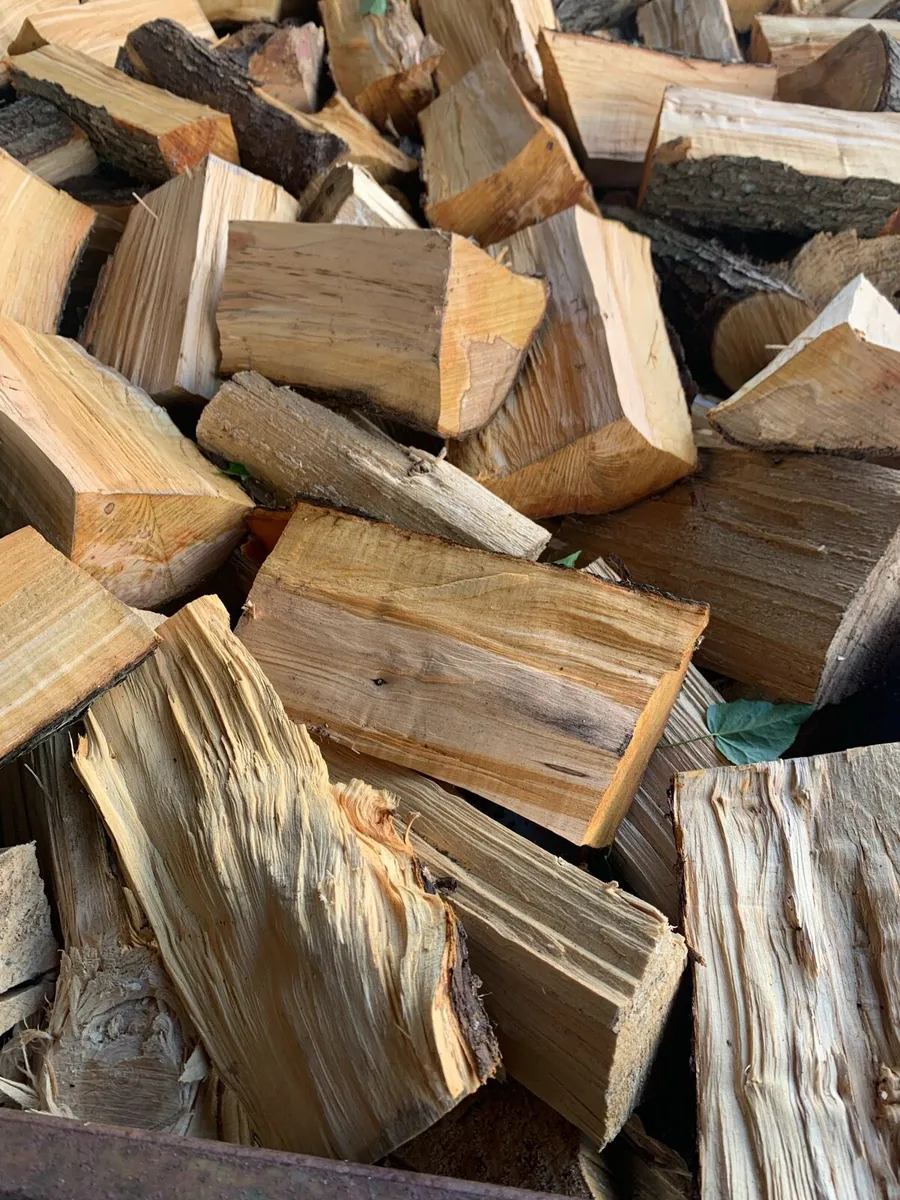 Firewood - Image 4