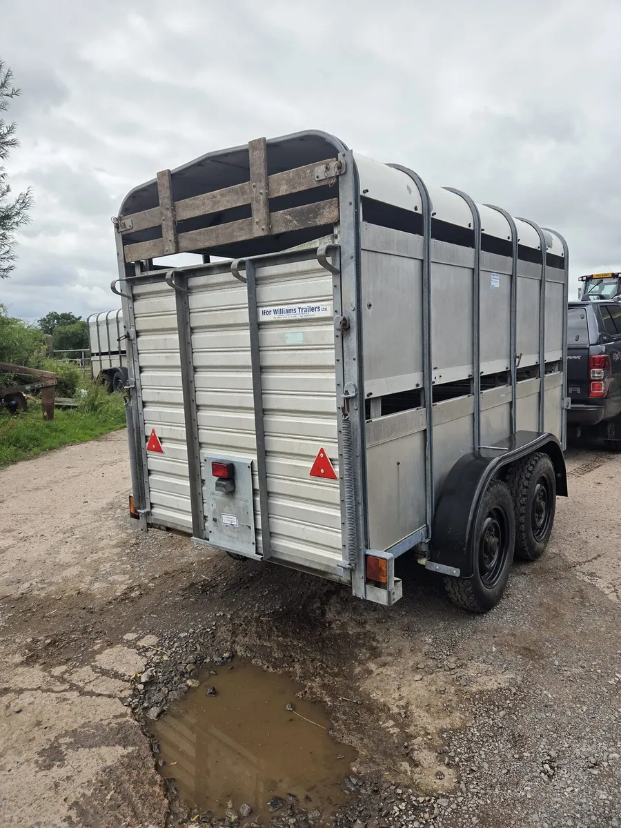 Ifor cattle trailer 10×5 - Image 1