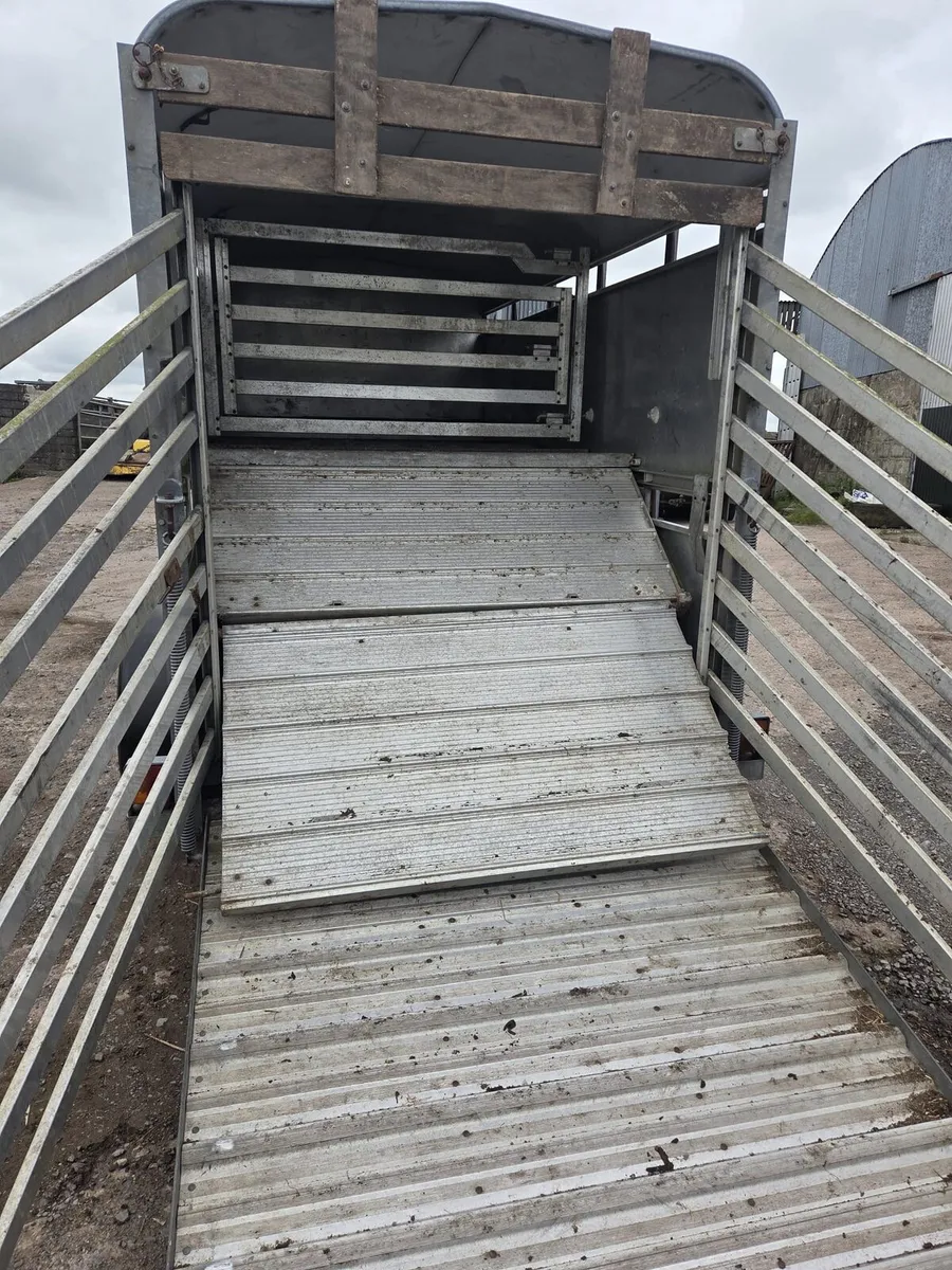 Ifor cattle trailer 10×5 - Image 2