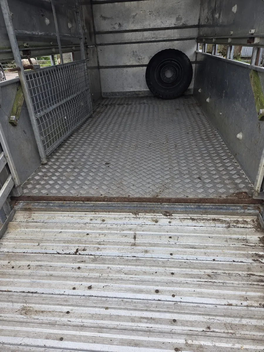 Ifor cattle trailer 10×5 - Image 4