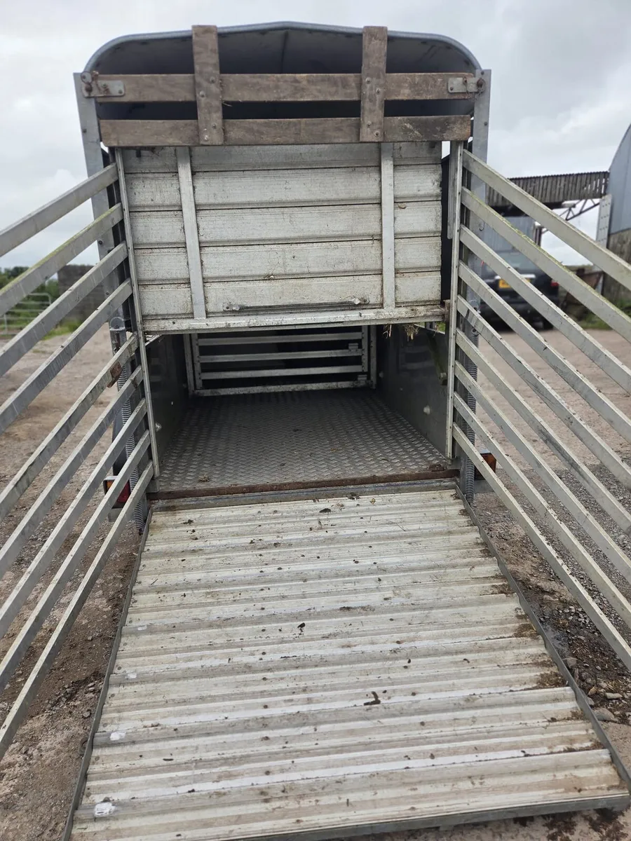 Ifor cattle trailer 10×5 - Image 3