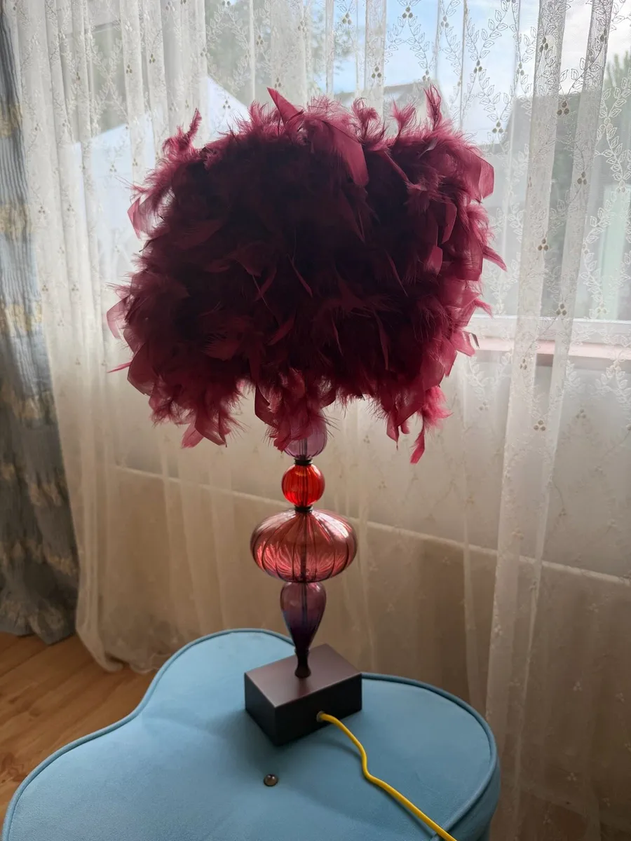 Feather lamp - Image 1