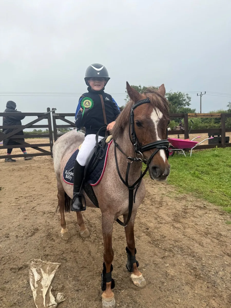 First time Pony - Image 2