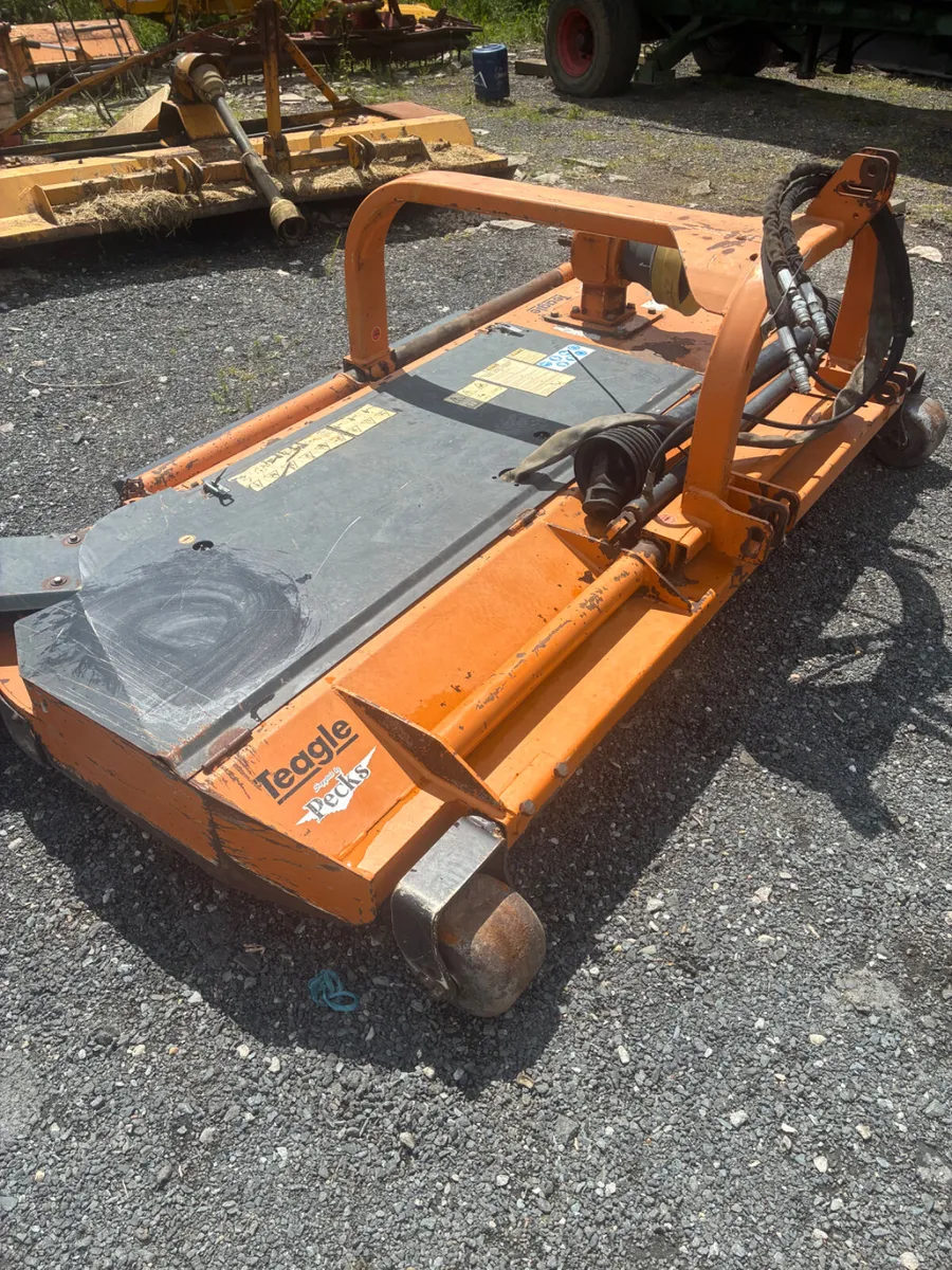 Teagle /Bertyl h/d topper - Image 3